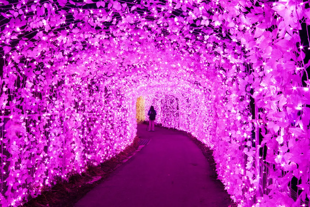 Alone In A Fairy Tale