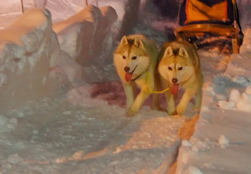 Snow sculptures and illumination at Furano Kan Kan Mura
