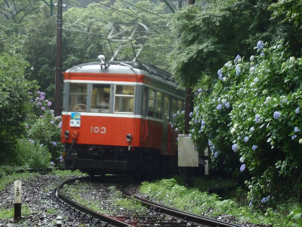 Hakone Tozan Railway in the mountain landscape