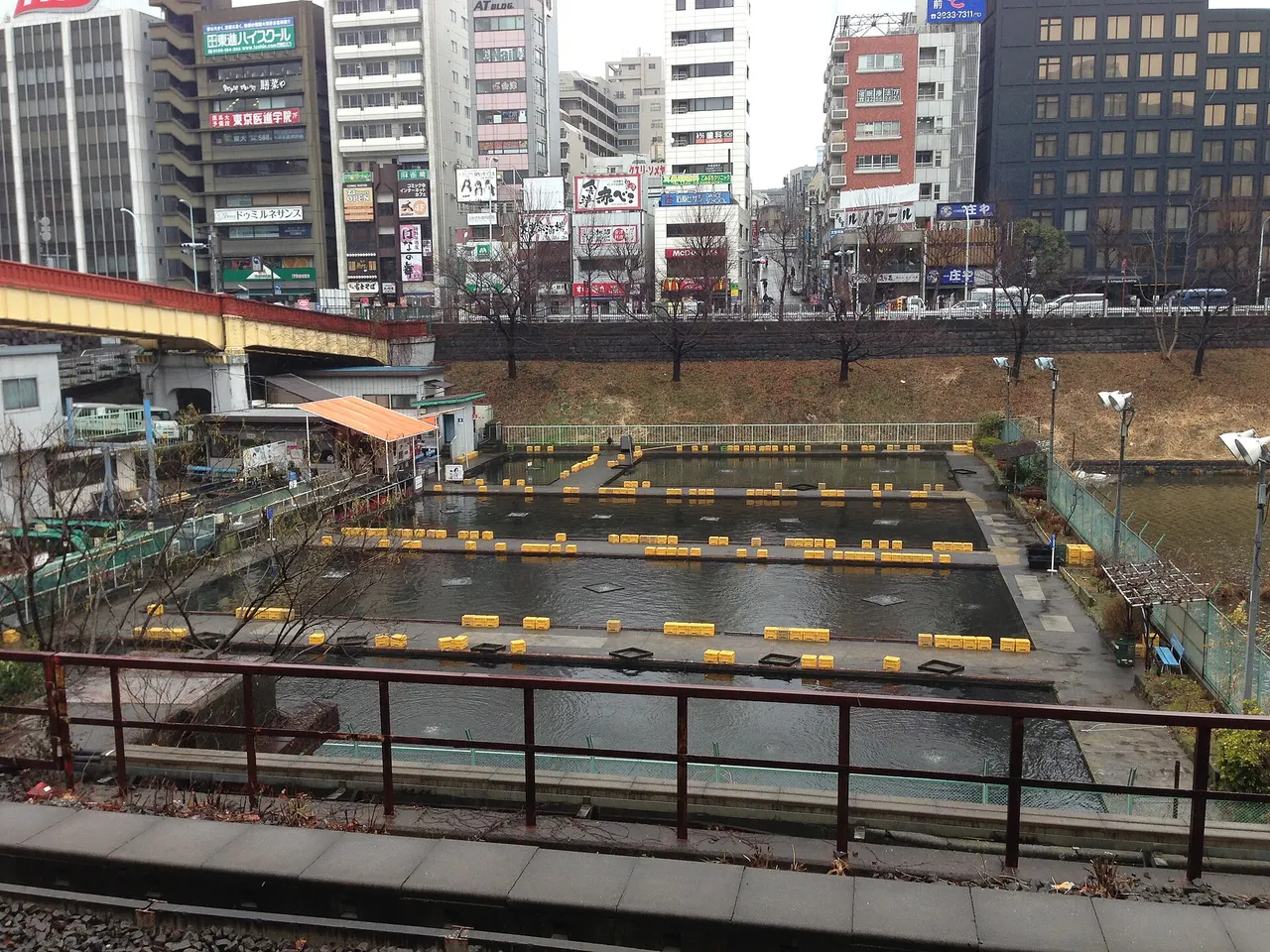 Ichigaya Fish Center