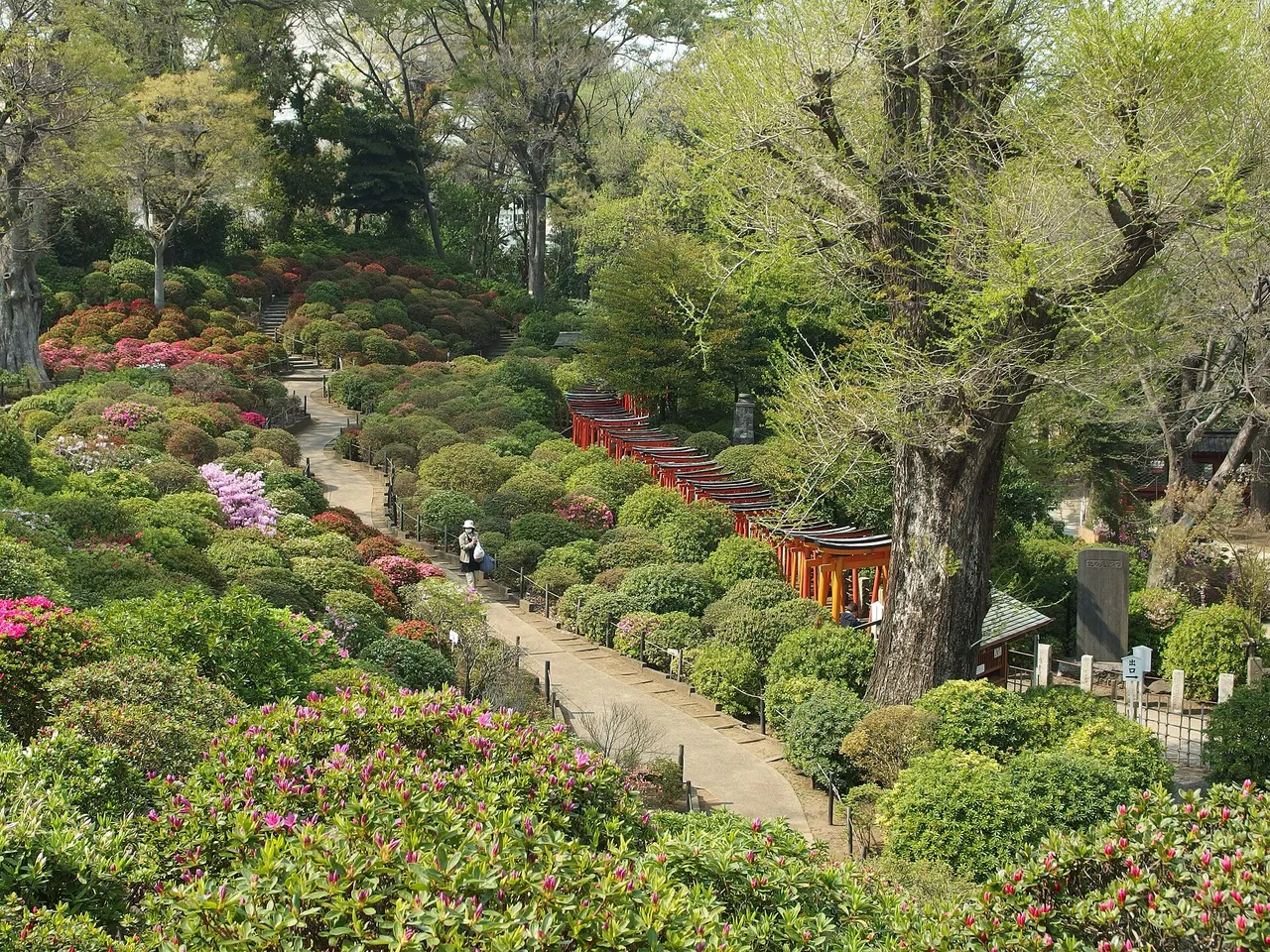 Azaleas and torii at Nezu Shrine