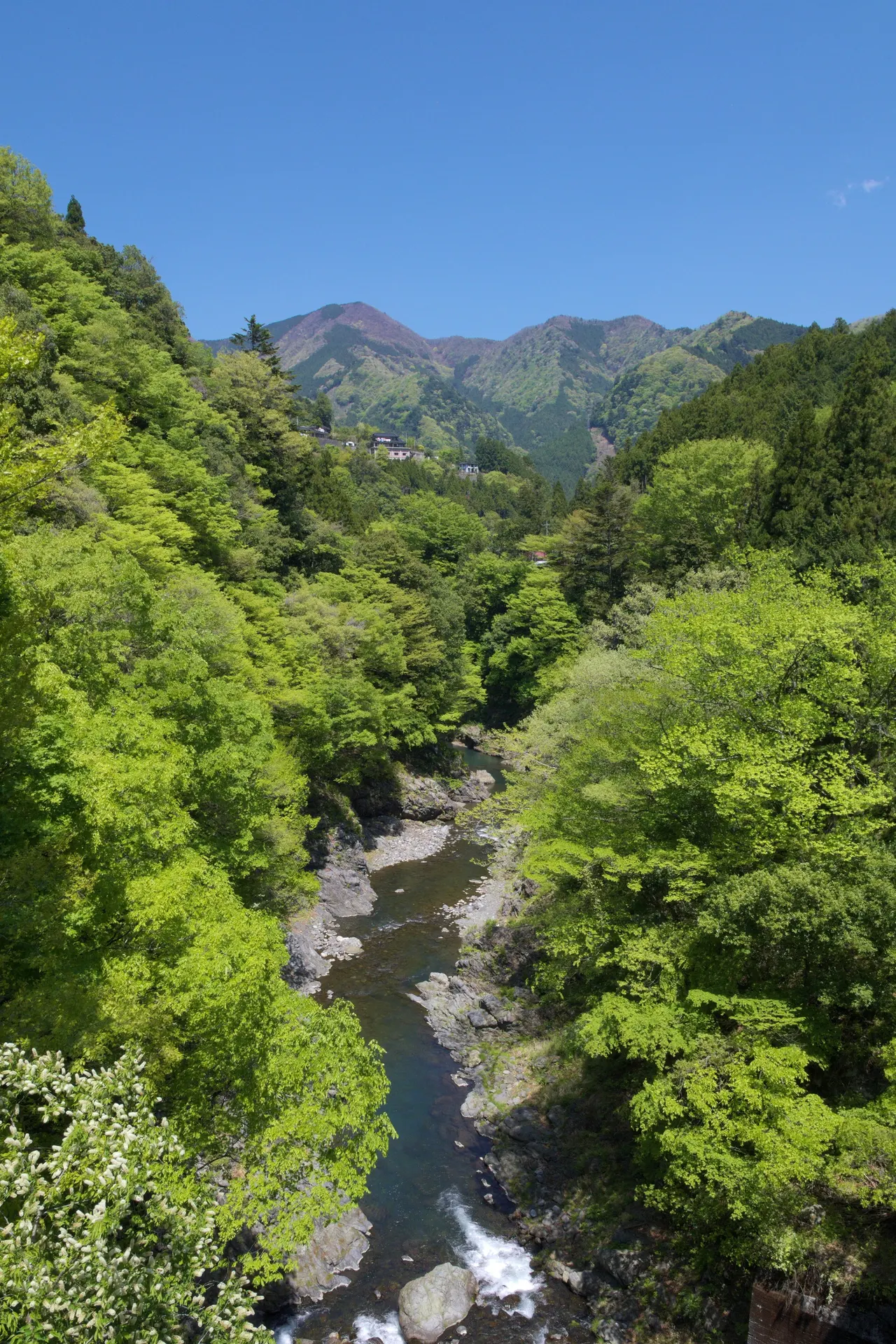 Okutama Fishing Center