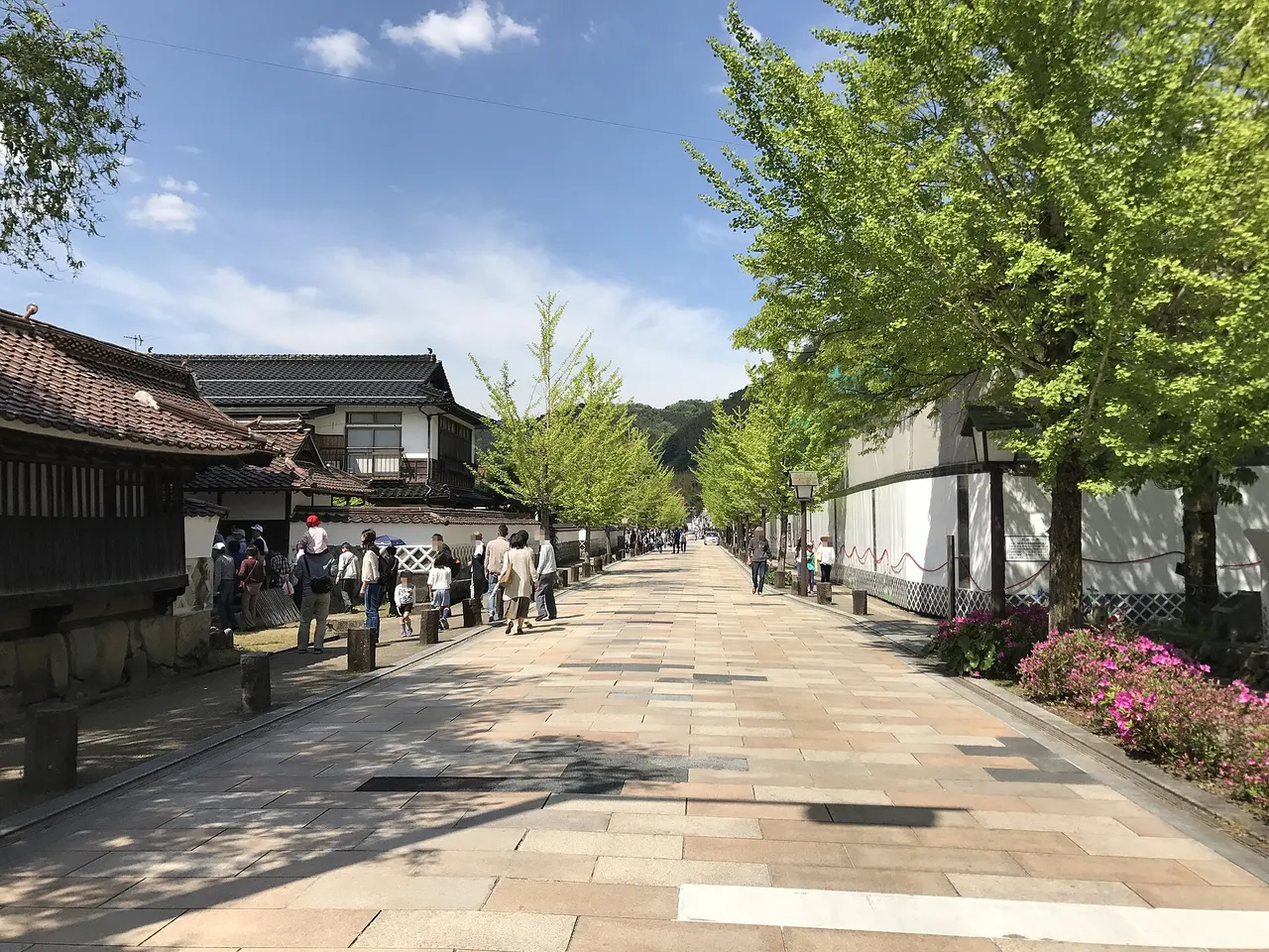 Historic Tonomachi Street and its carp canals