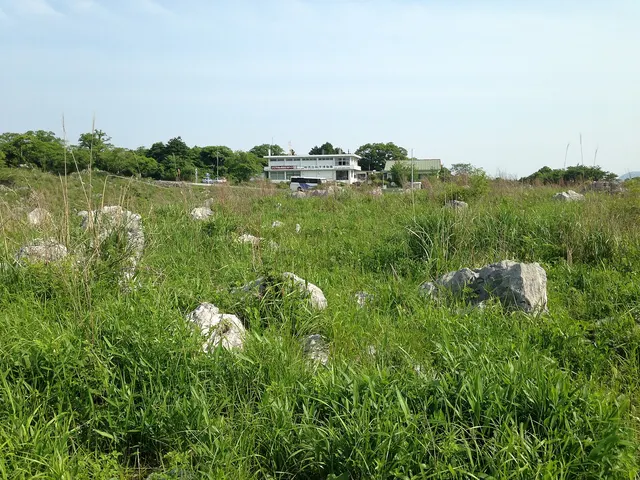Akiyoshidai Plateau