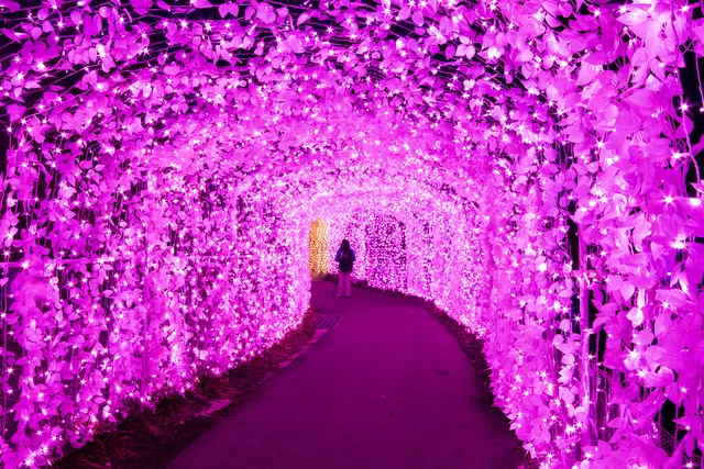 Alone In A Fairy Tale