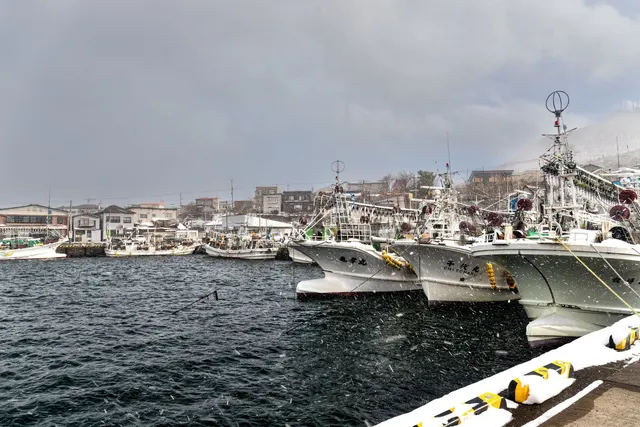 Hakodate Port Fishing Area