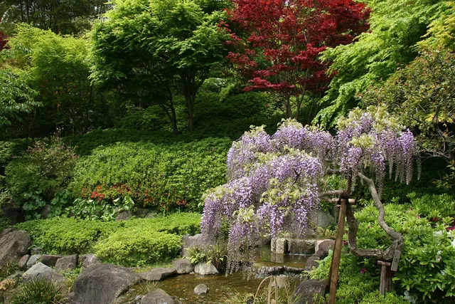 Hasedera Temple, Kamakura