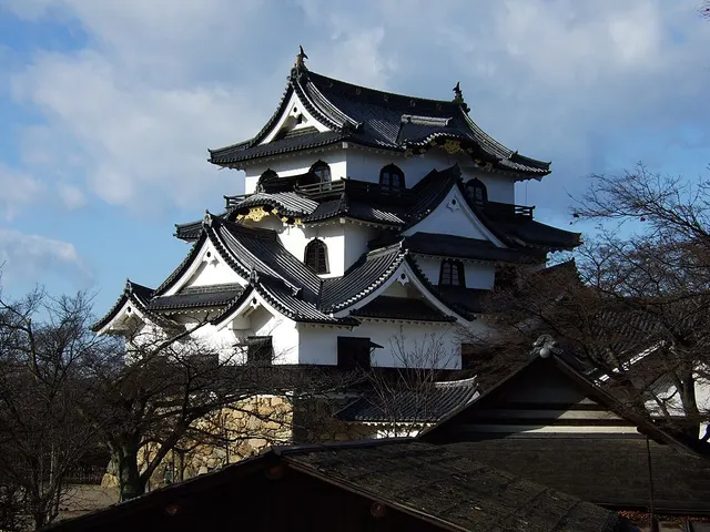 Hikone castle5537.JPG