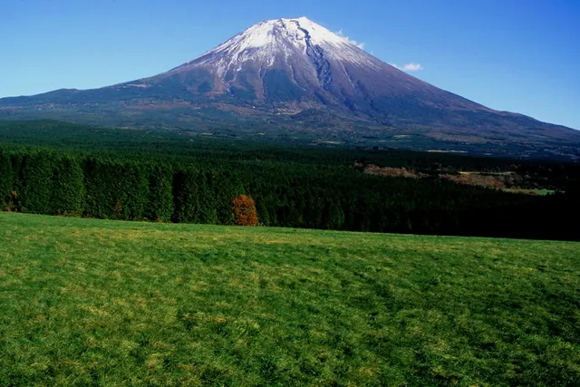 Asagiri farm scenery around Makaino Farm
