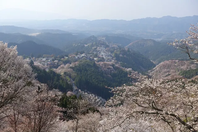 Kasugayama Campground — regional setting