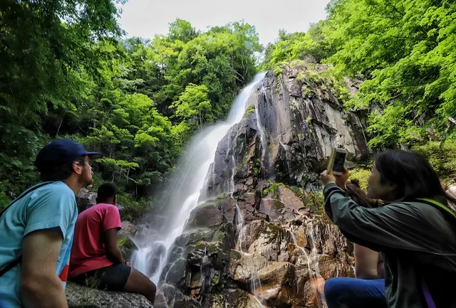 Forest path and waterfalls at Okura Falls