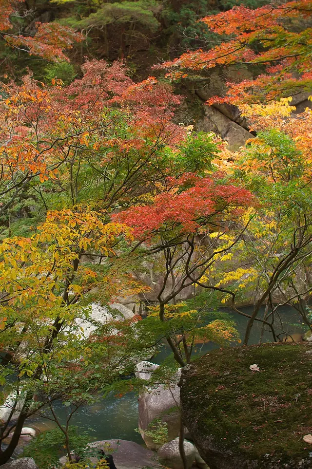 Shosenkyo Gorge — Senga Falls Area — autumn scenery