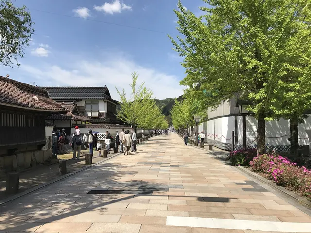 Historic Tonomachi Street and its carp canals