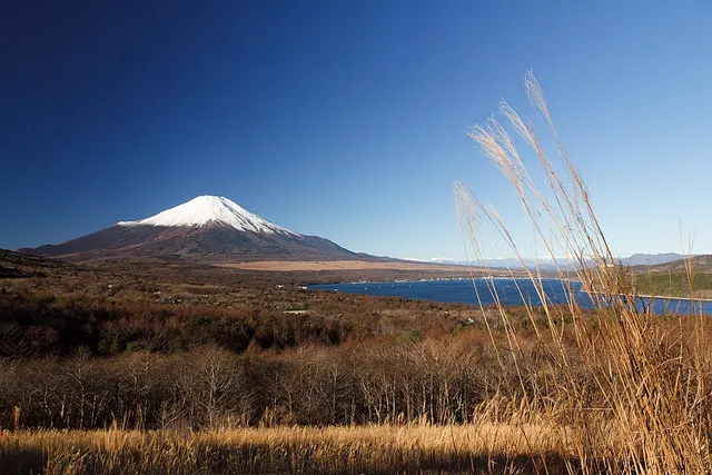 Lake Yamanakako · 富士山と山中湖 - Mt.Fuji and Lake Yamanaka-ko - panoramio.jpg