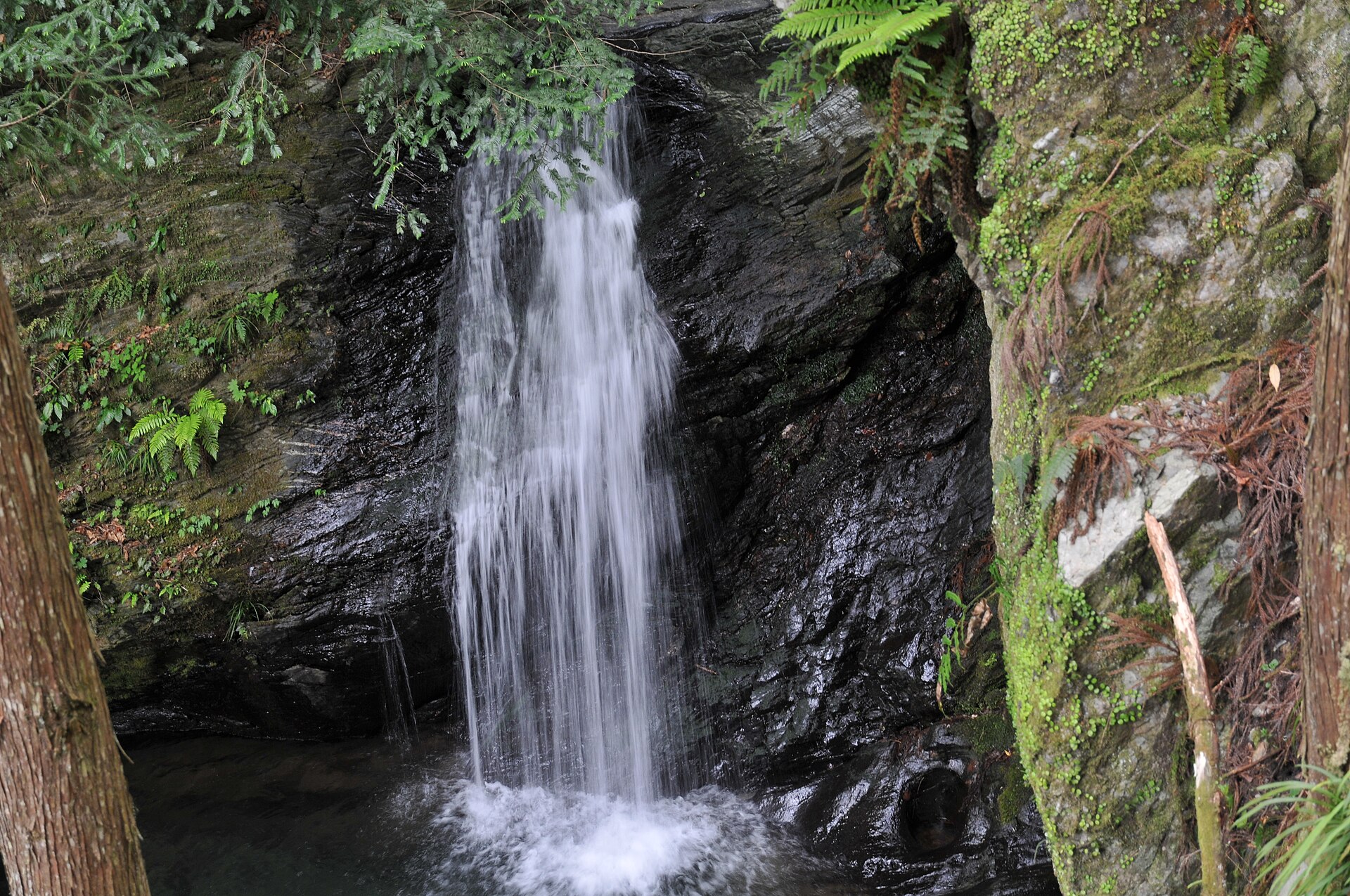 Amagoi Waterfall, Tokushima