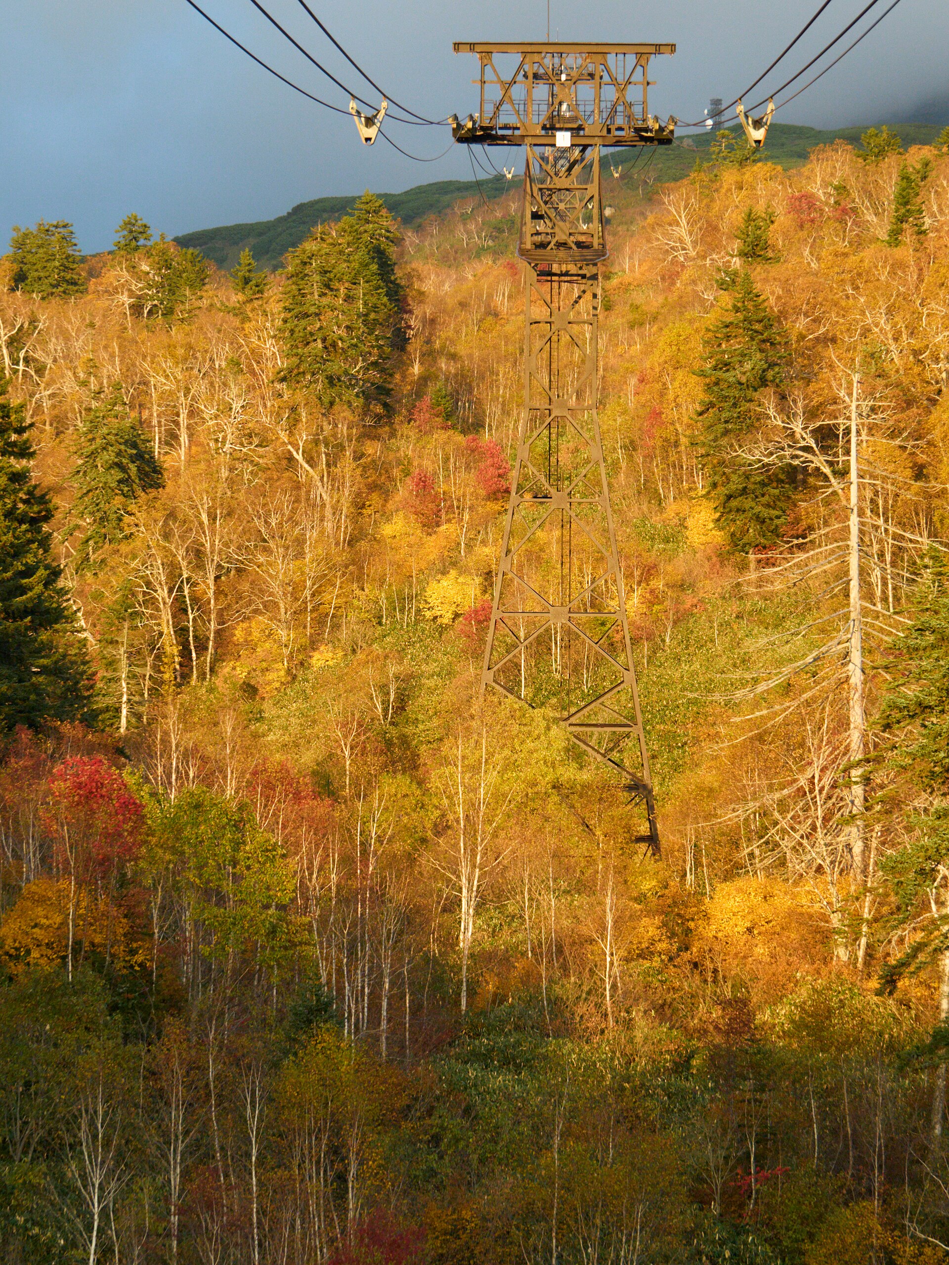 Asahidake Ropeway — Autumn Slopes, Hokkaido