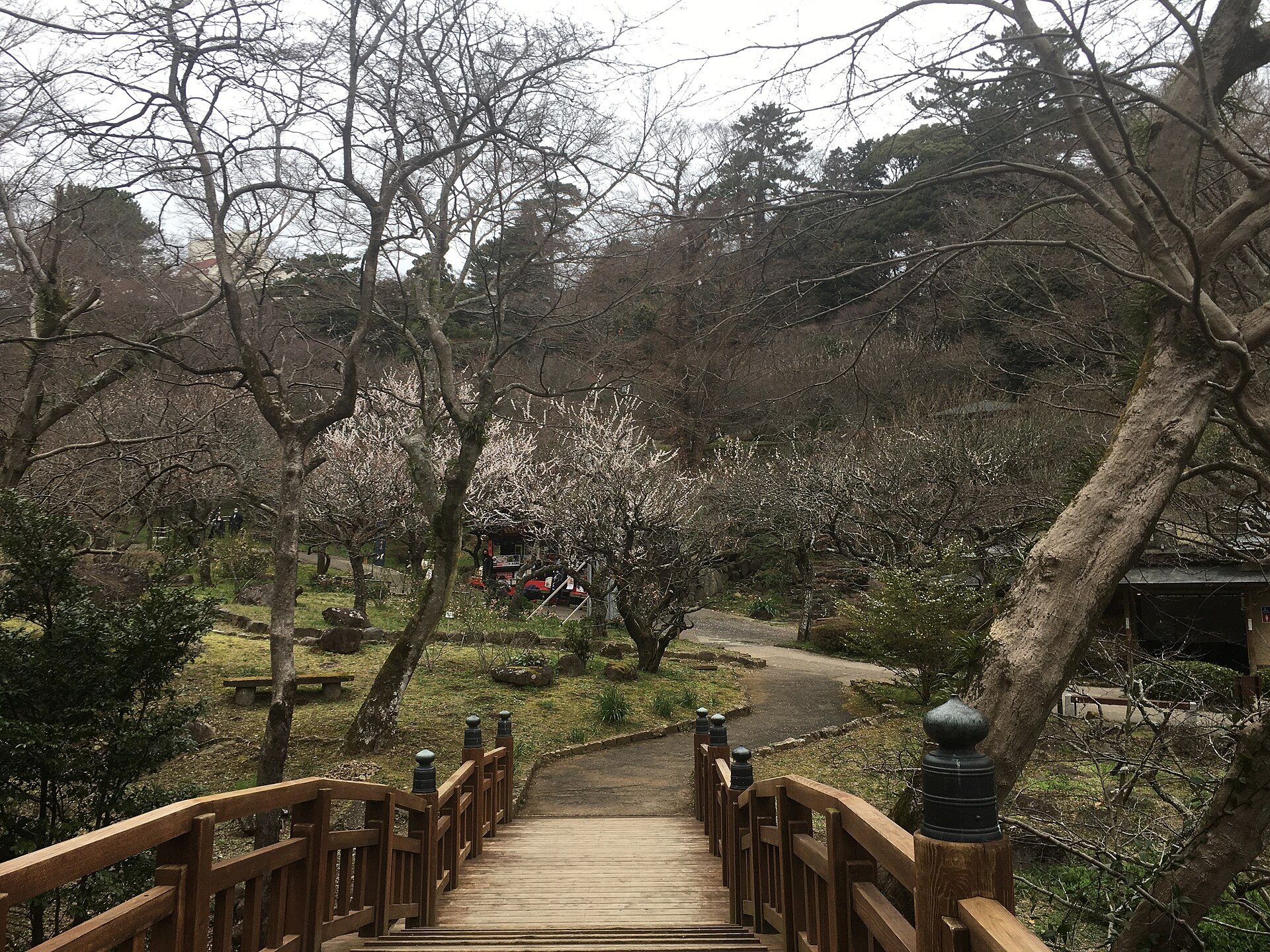 Atami Baien Plum Garden, Shizuoka