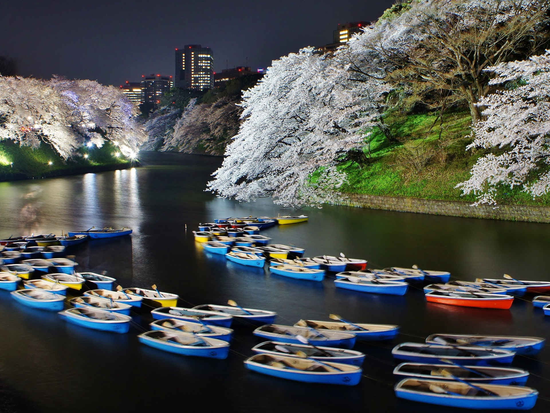 Chidorigafuchi Moat, Tokyo