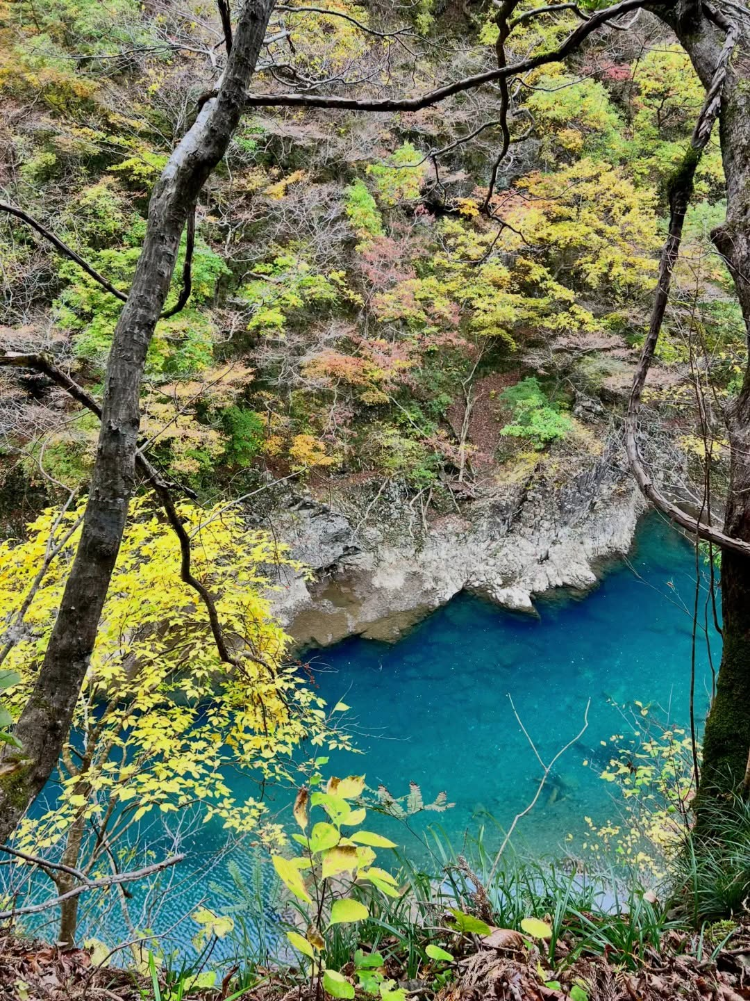 Blue mountain stream and autumn forest in Dakigaeri Gorge
