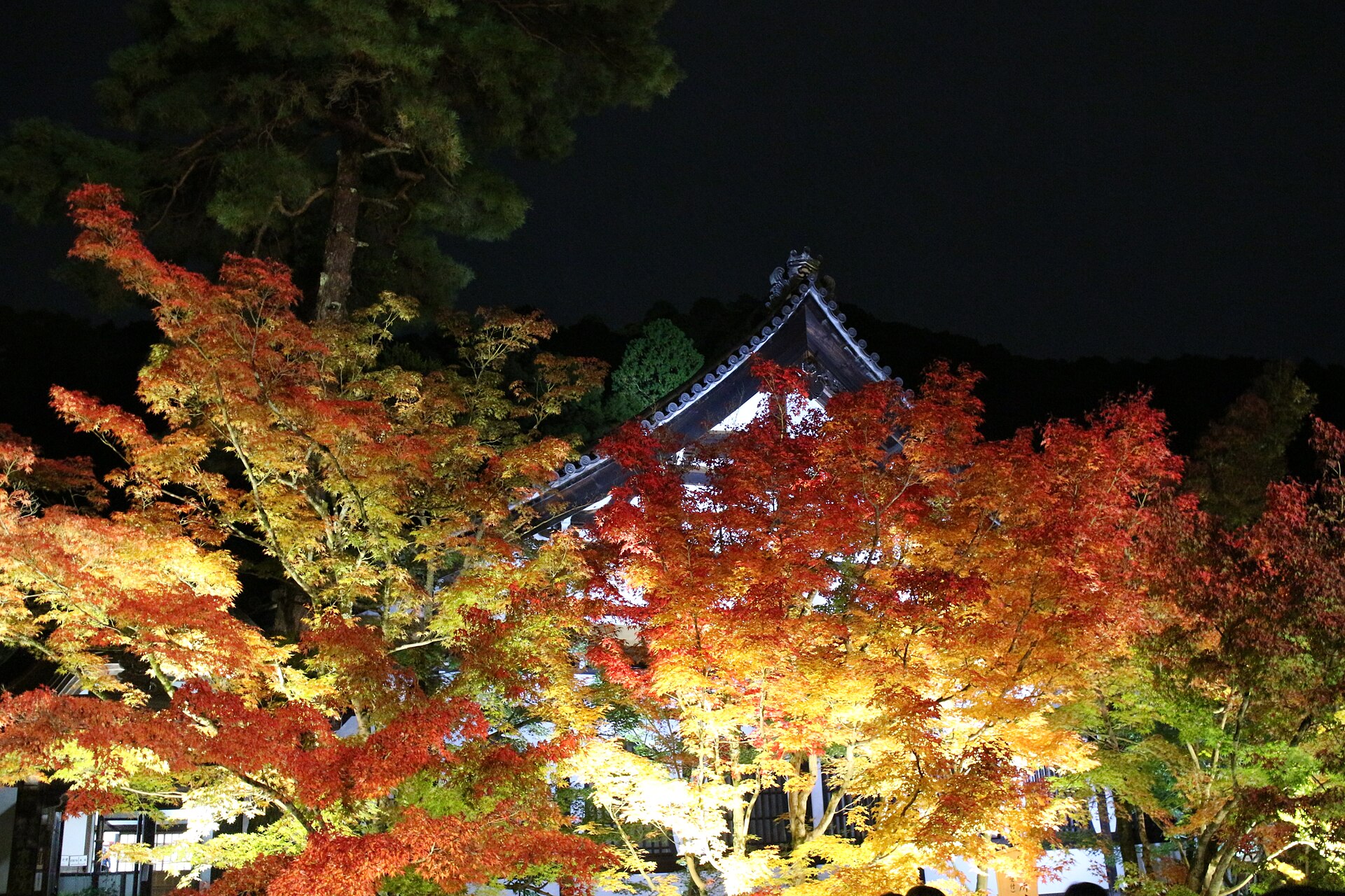 Eikando — Zenrinji Temple, Kyoto