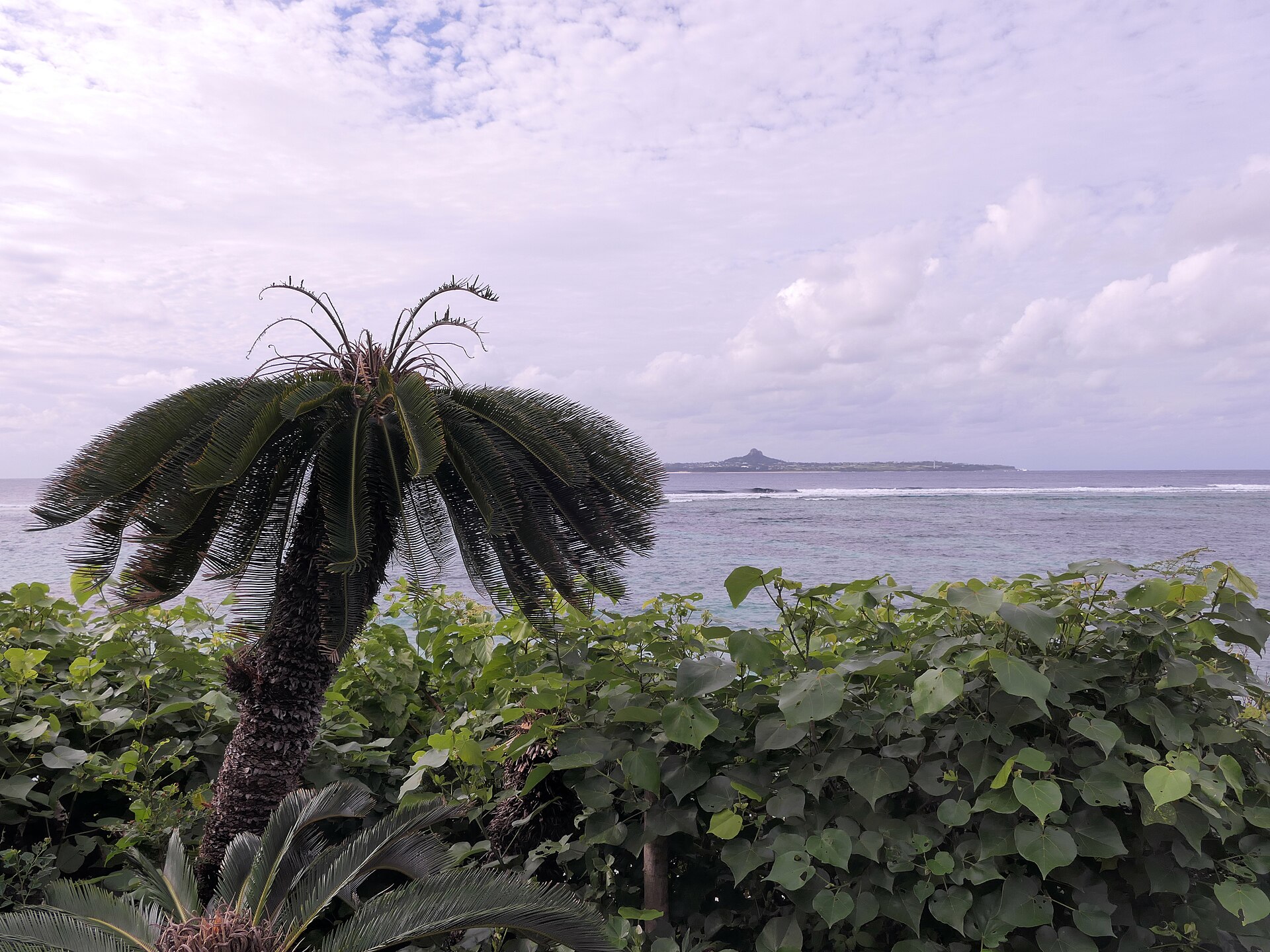 Emerald Beach, Okinawa