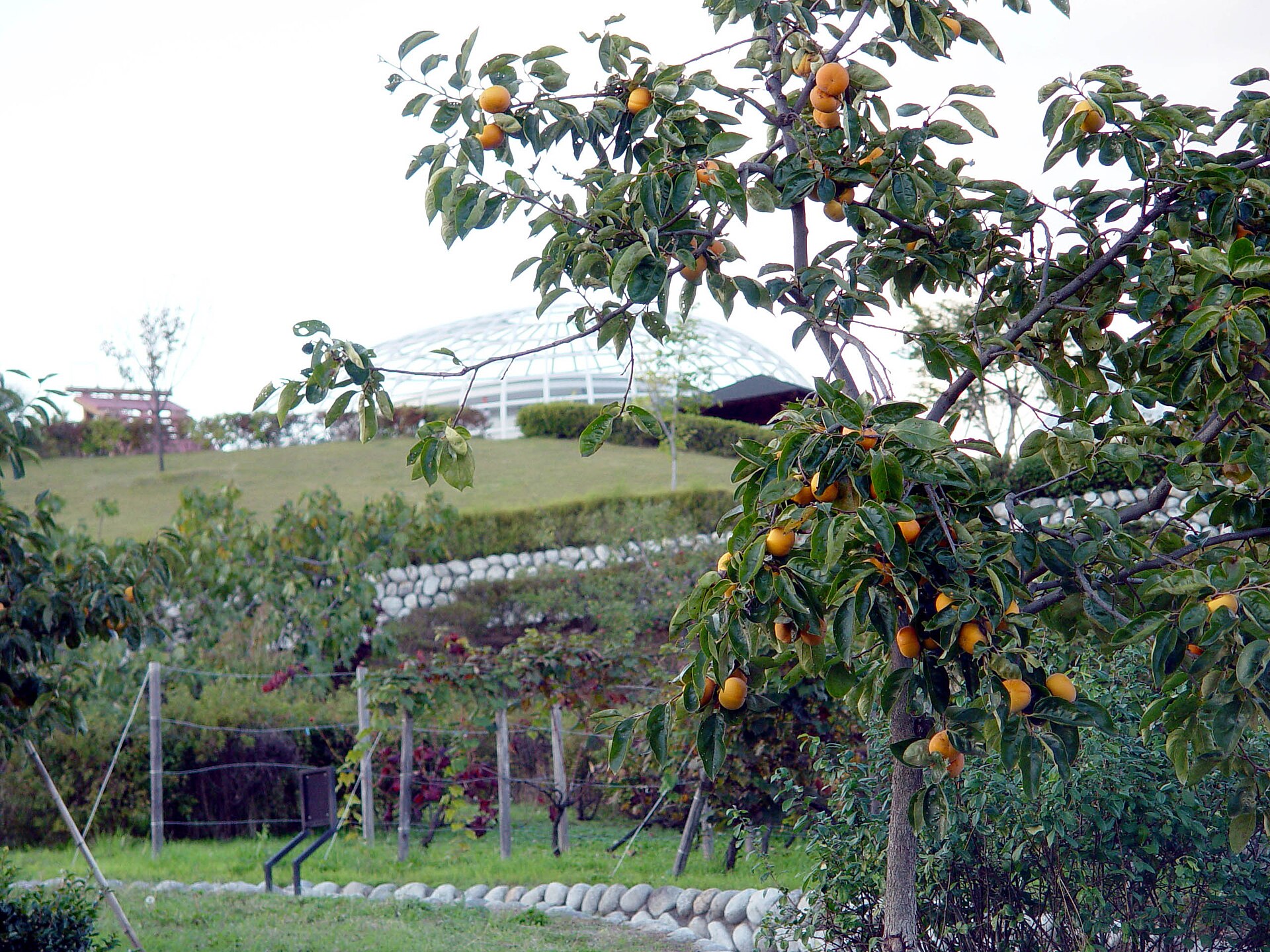 Fuefukigawa Fruit Park, Yamanashi