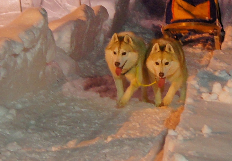 Furano Kan Kan Mura, Hokkaido