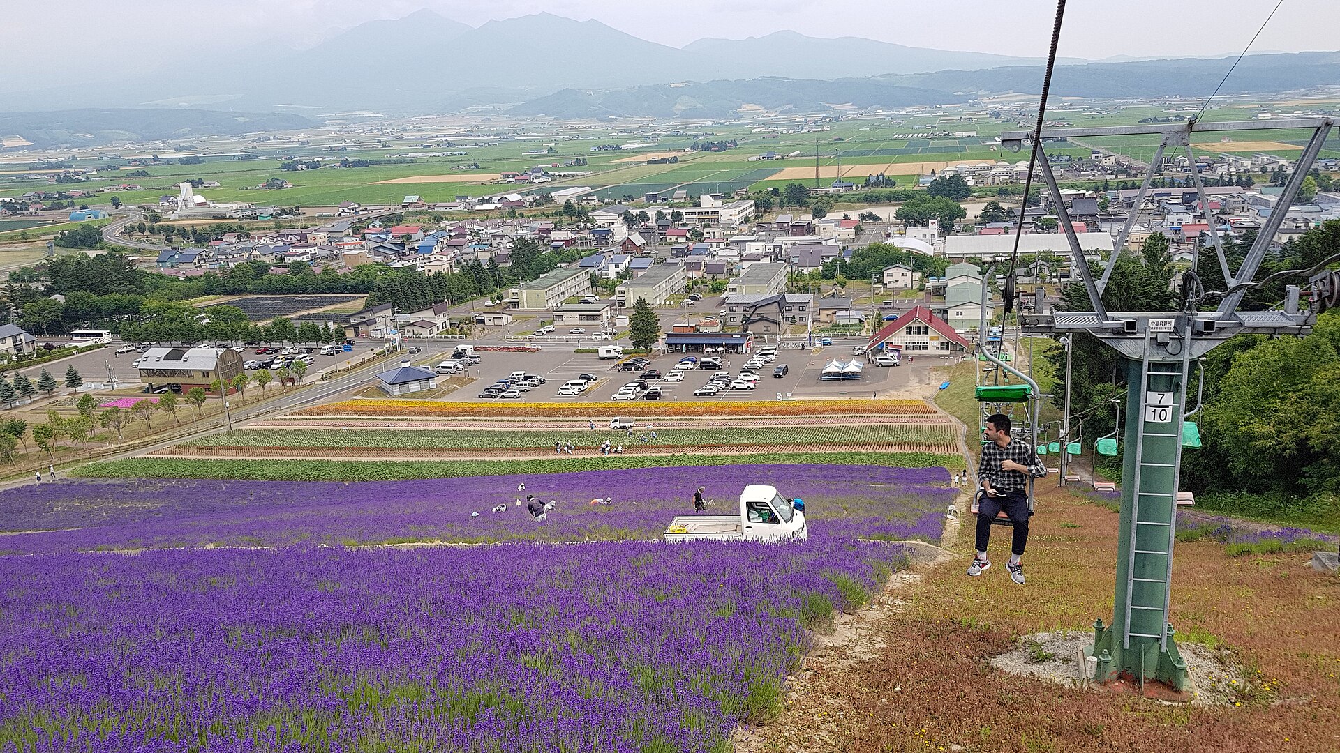 Furano Lavender Fields, Hokkaido