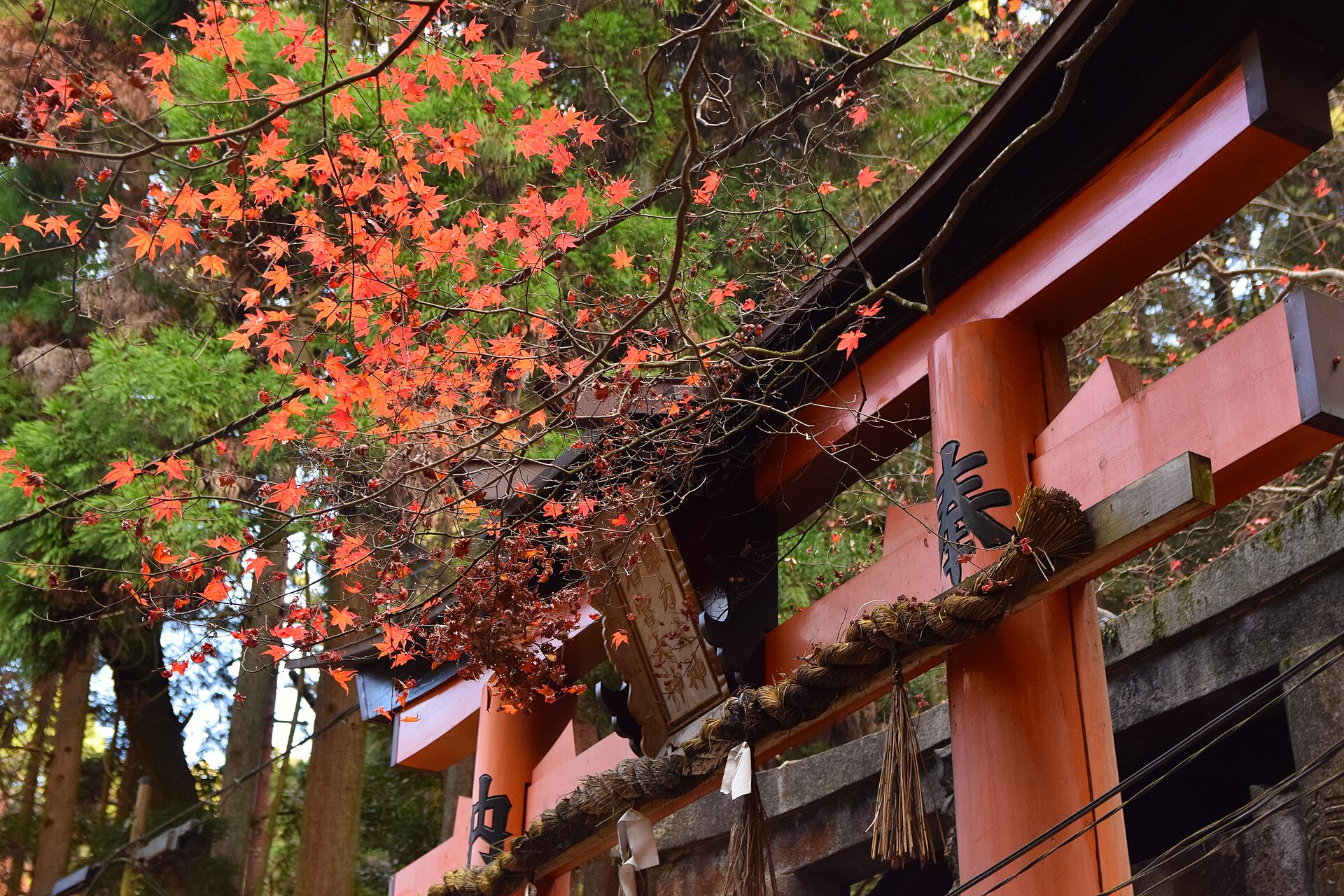 Fushimi Inari Taisha, Kyoto