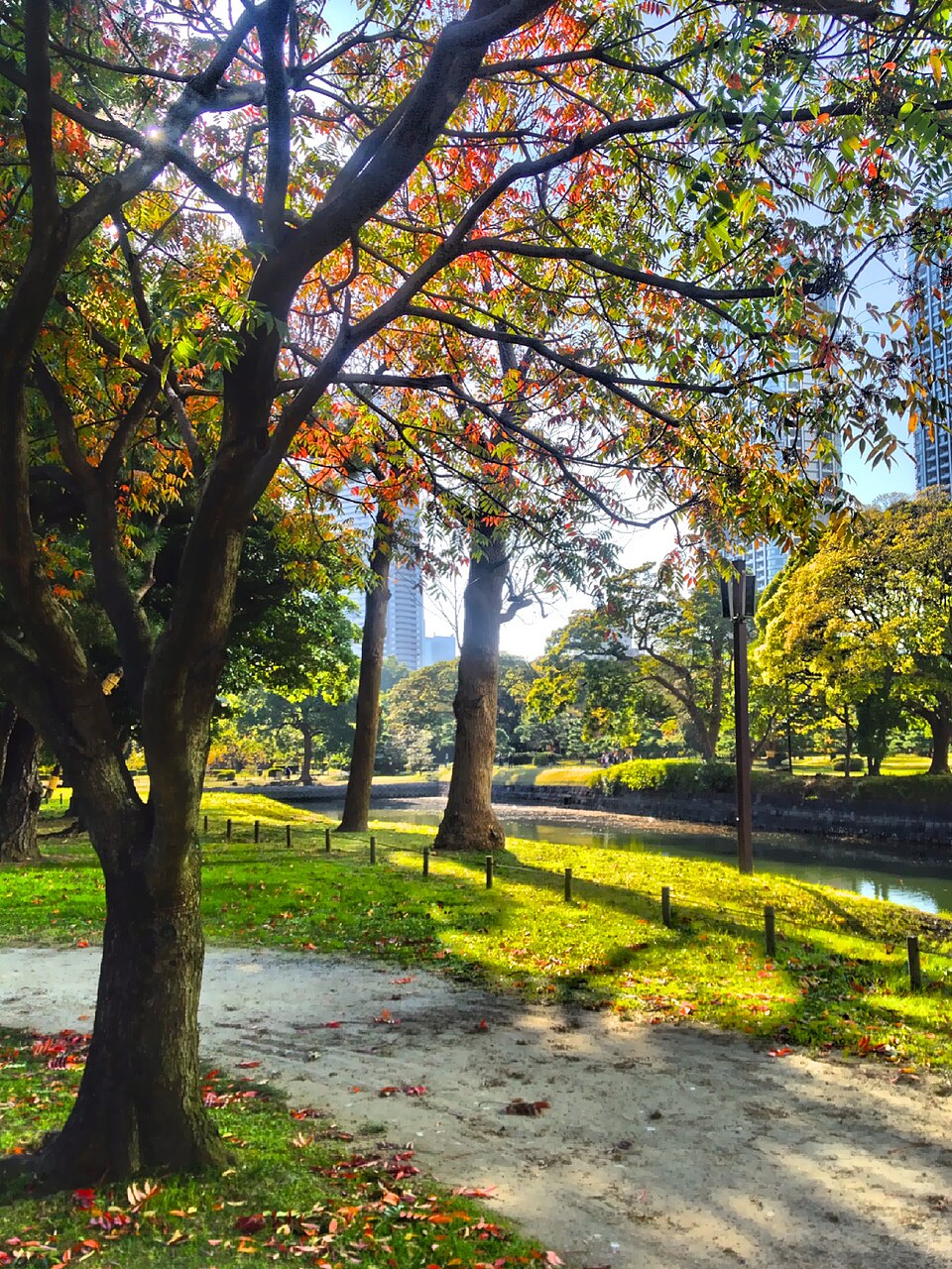 Hama-rikyu Gardens, Tokyo