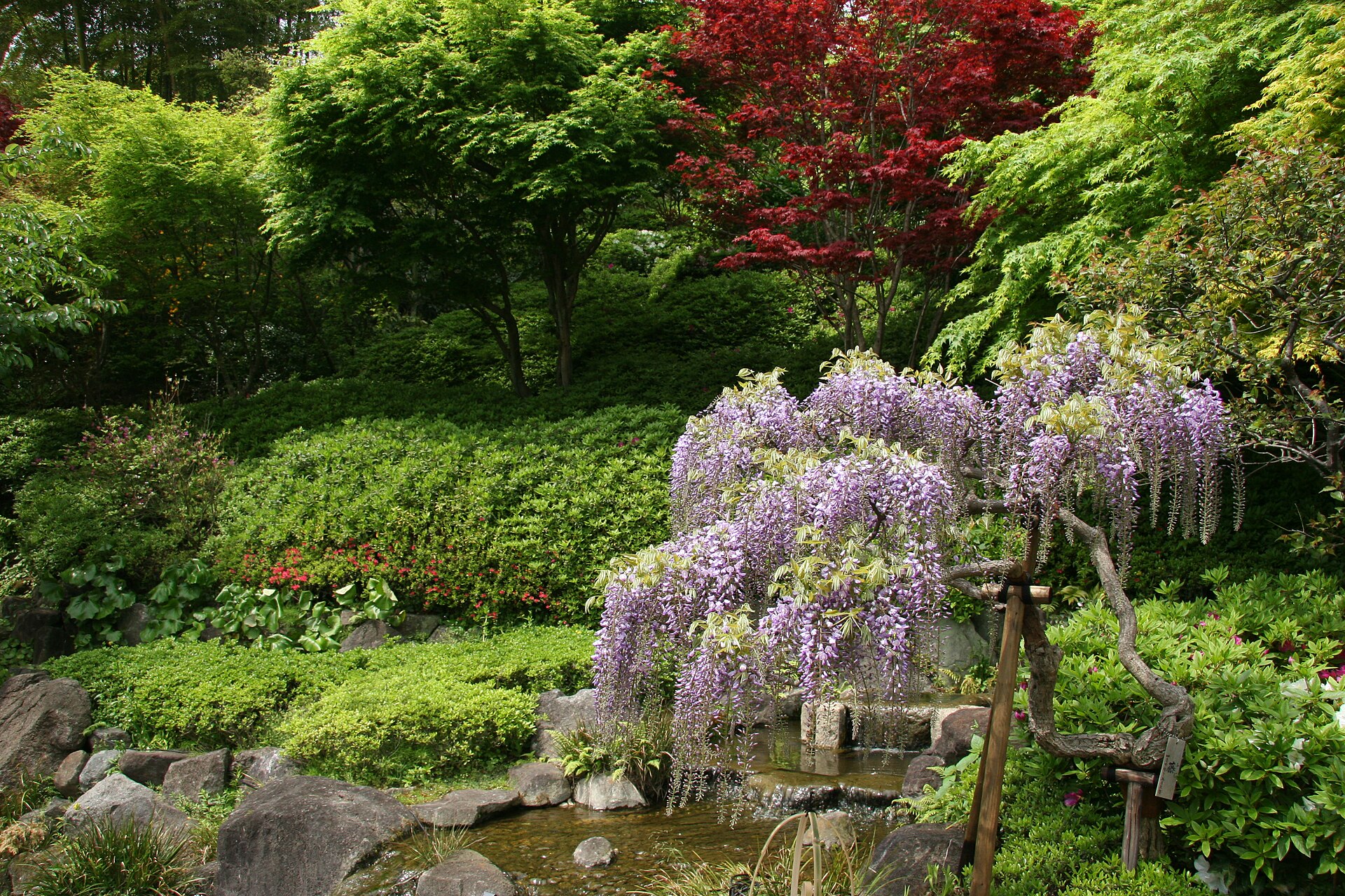 Hasedera Temple, Kamakura, Kanagawa