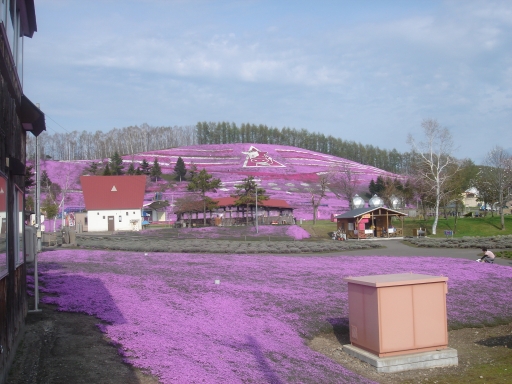 Higashimokoto Shibazakura Park, Hokkaido