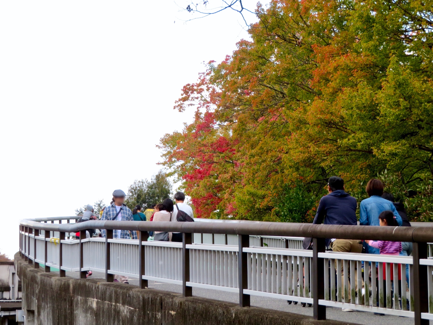 Higashiyama Zoo and Botanical Gardens, Aichi