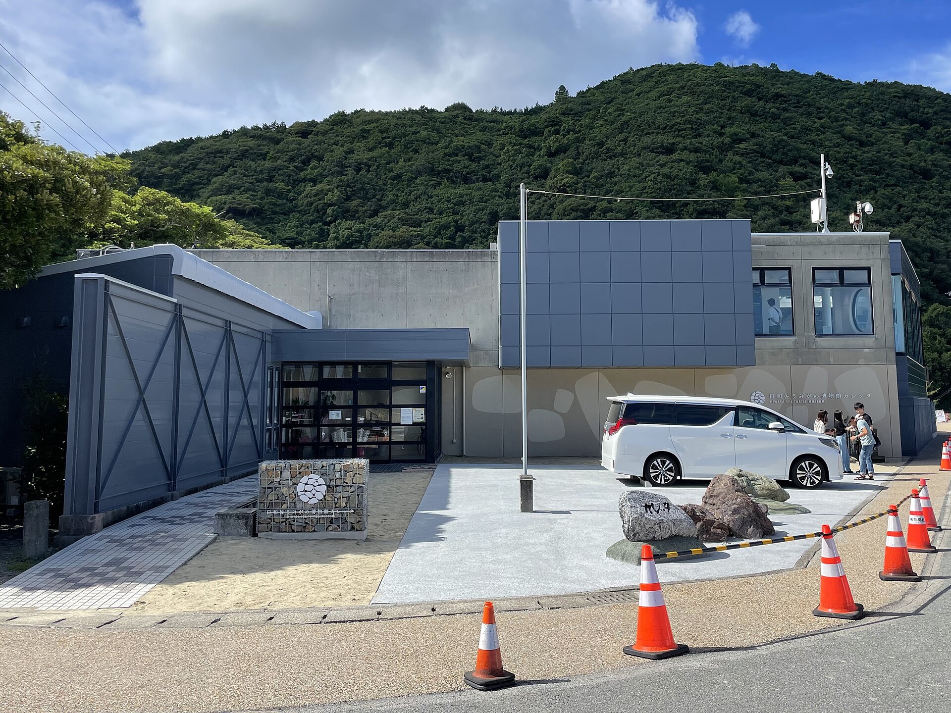 Hiwasa Chelonian Museum Caretta and Ohama Beach, Tokushima
