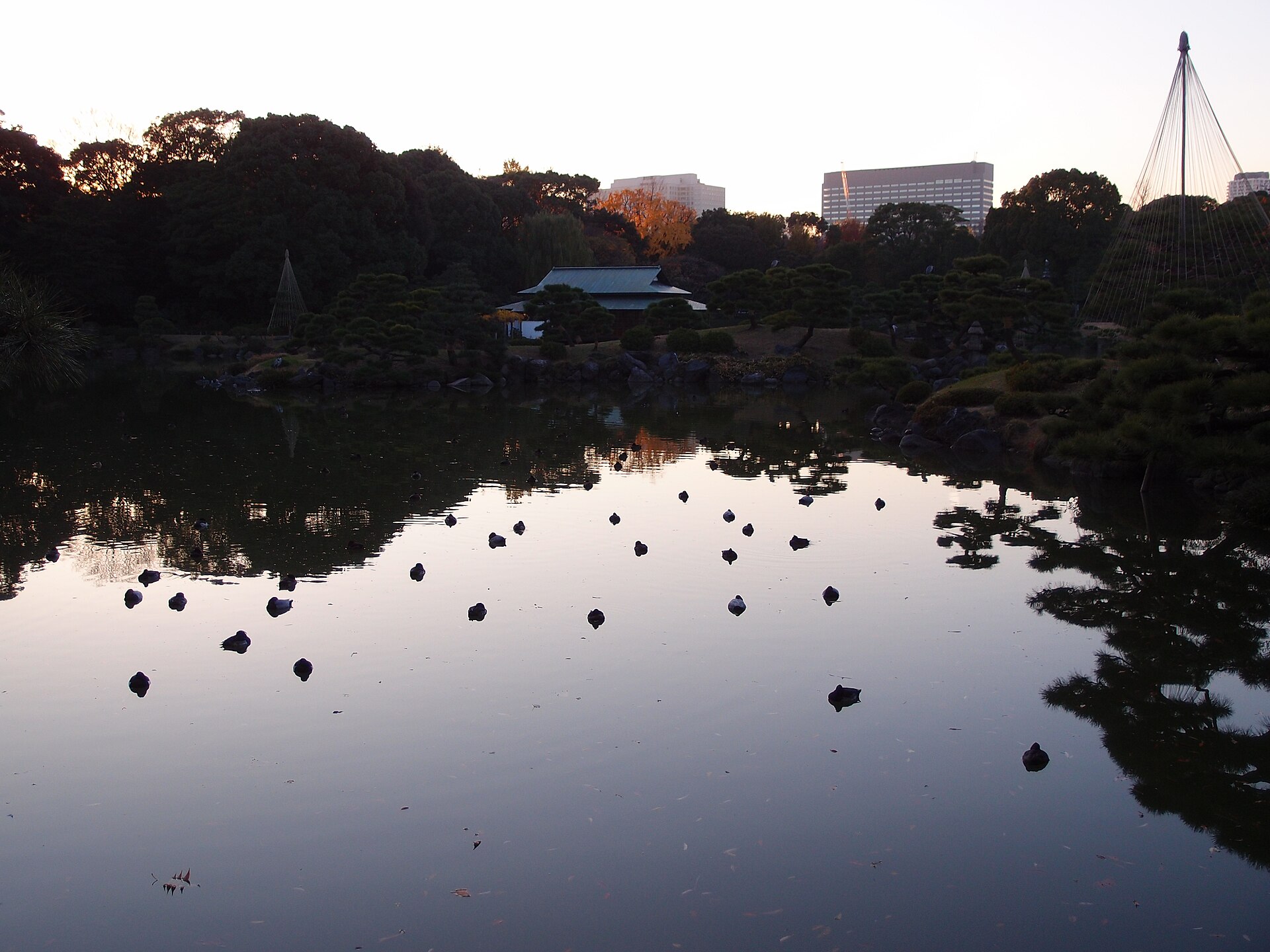 Kiyosumi Gardens, Tokyo