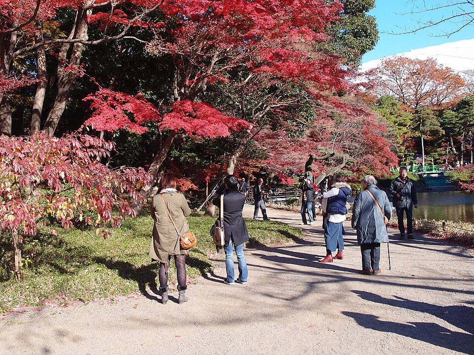 Koishikawa Korakuen Gardens, Tokyo