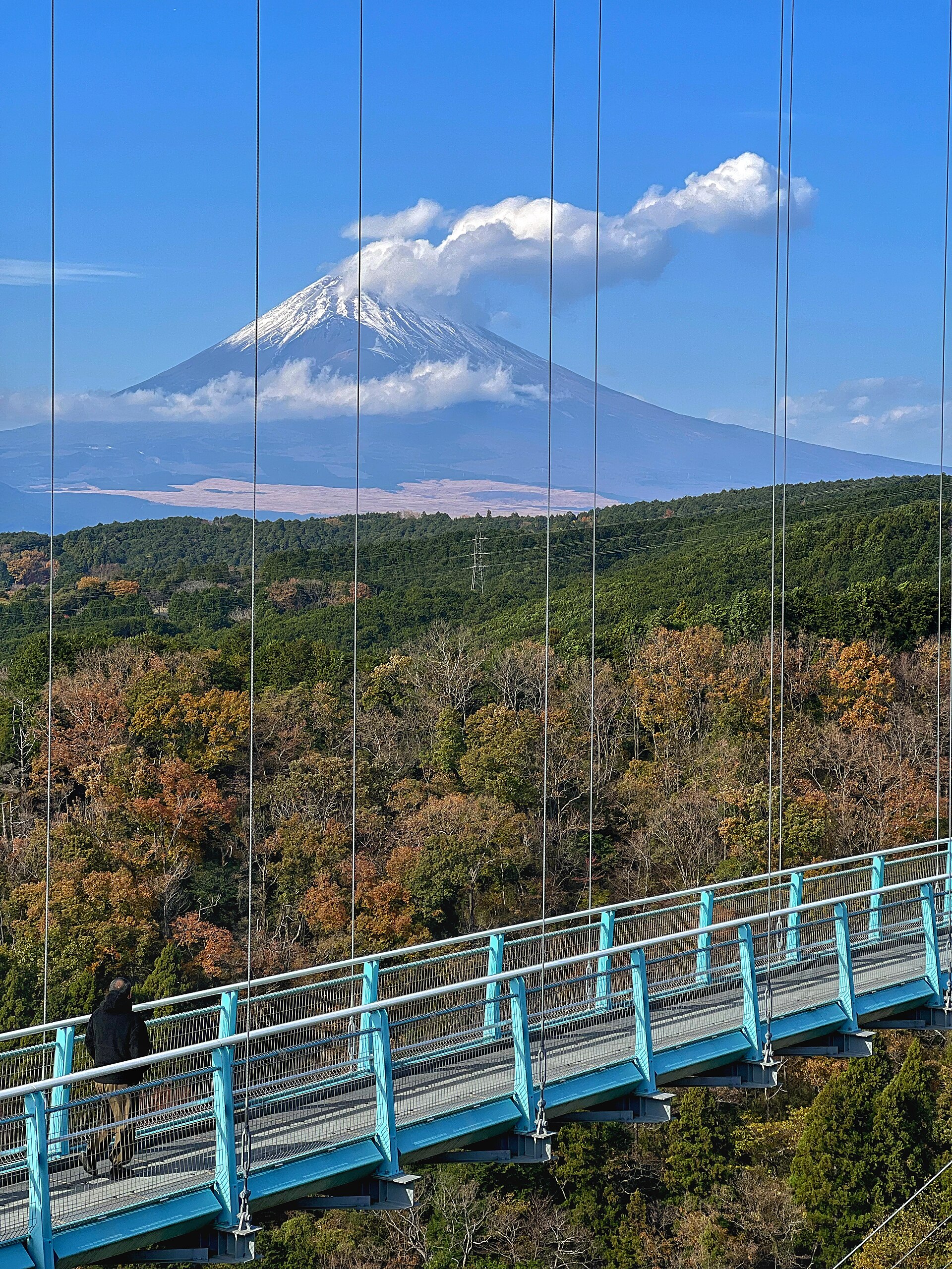 Mishima Skywalk, Shizuoka