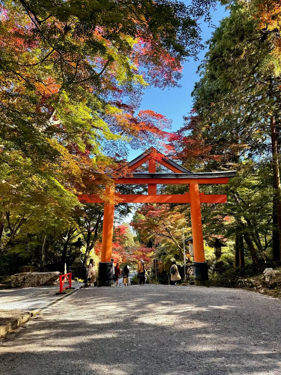 Torii gate framed by autumn foliage on Mount Hiei
