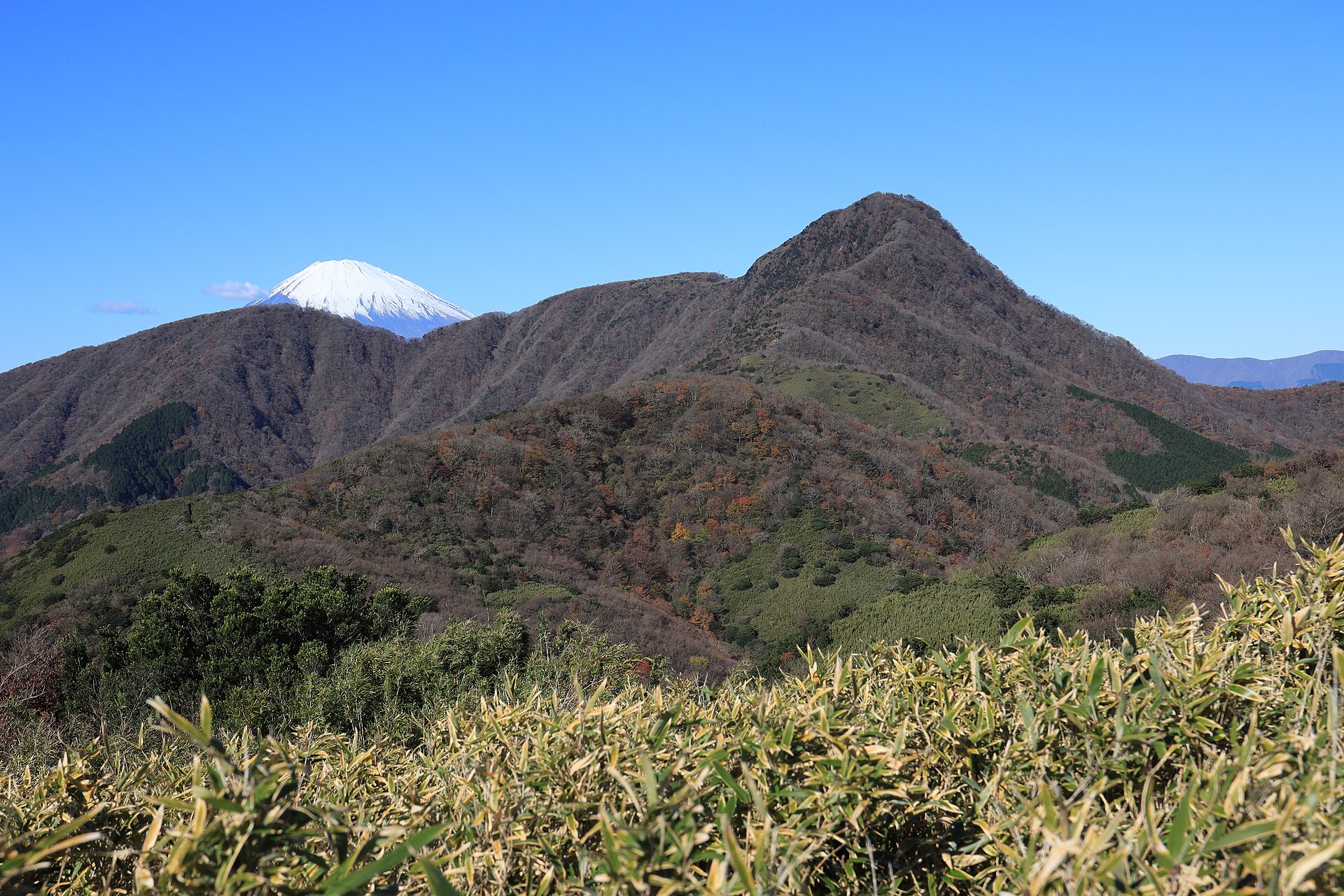 Mount Kintoki and Kintoki Shrine, Kanagawa