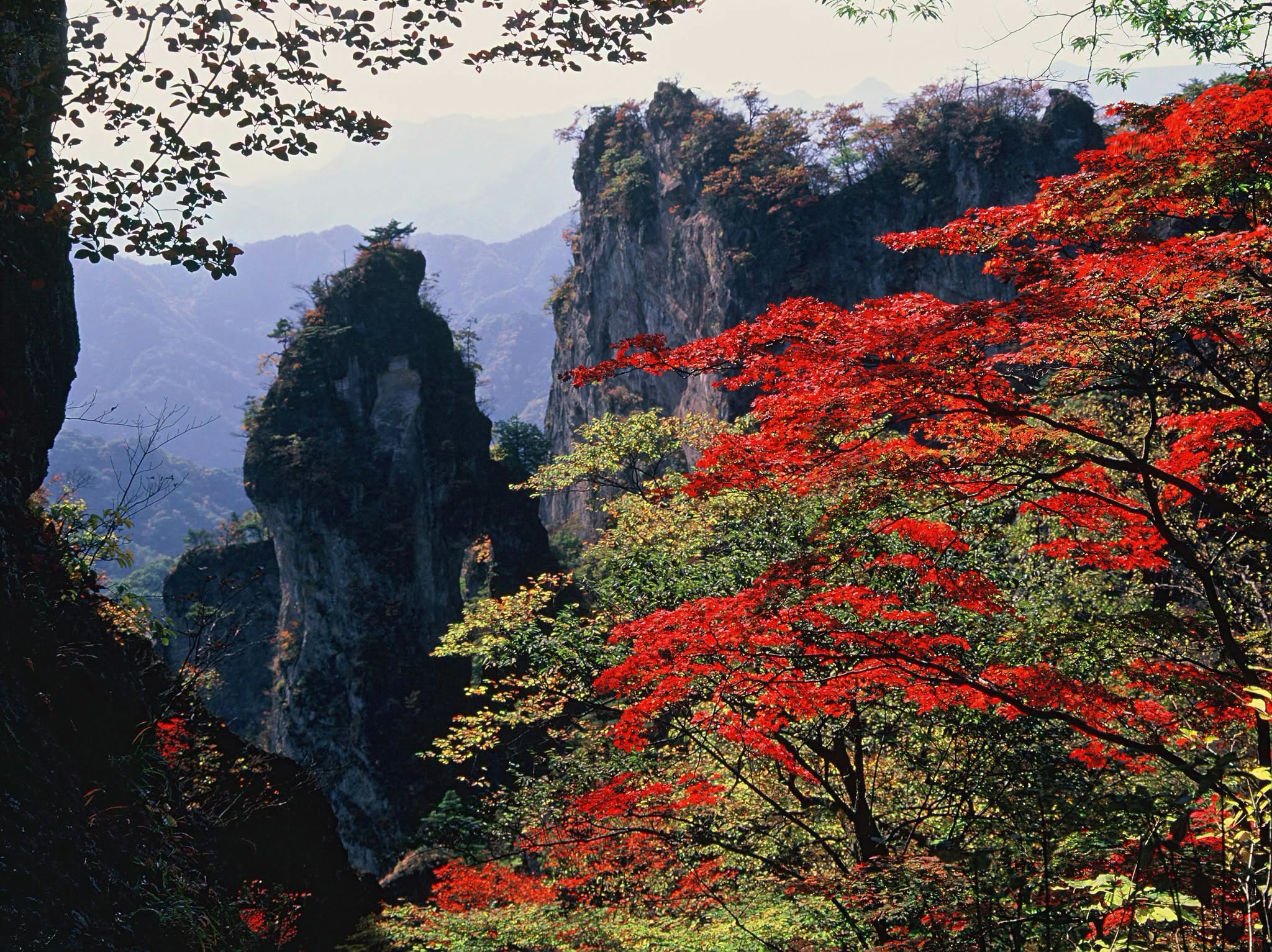 Red maples below the crags of Mount Myogi