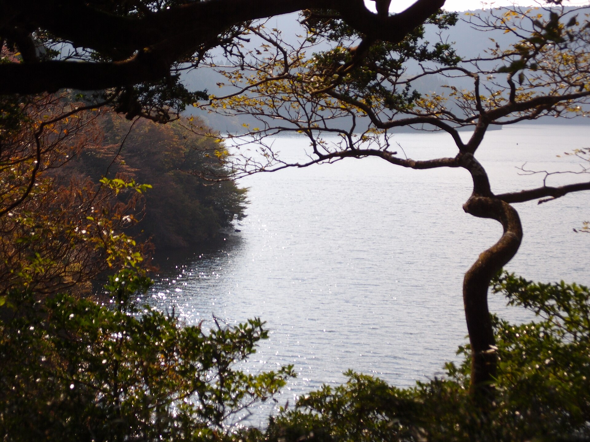 Onshi-Hakone Park, Kanagawa