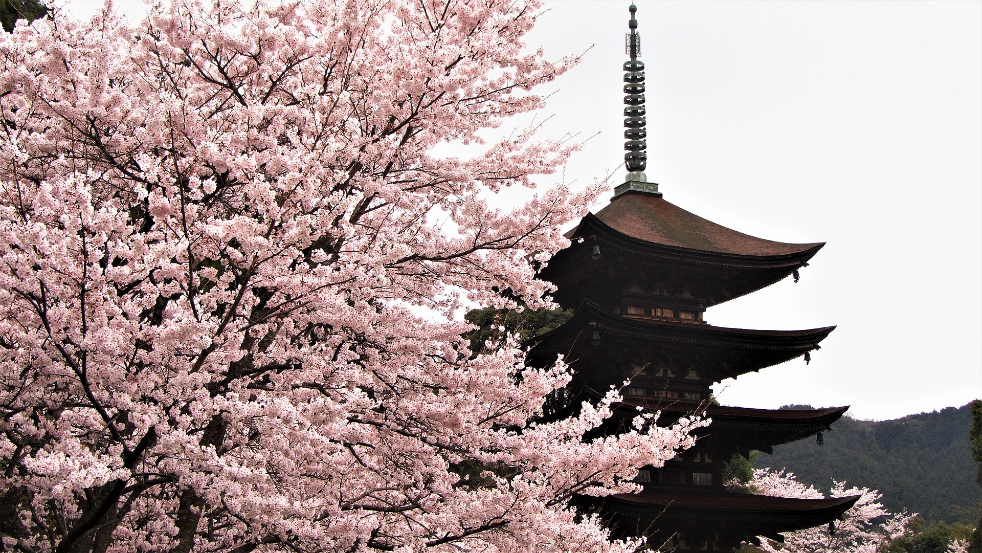 Rurikoji Temple Five-story Pagoda, Yamaguchi