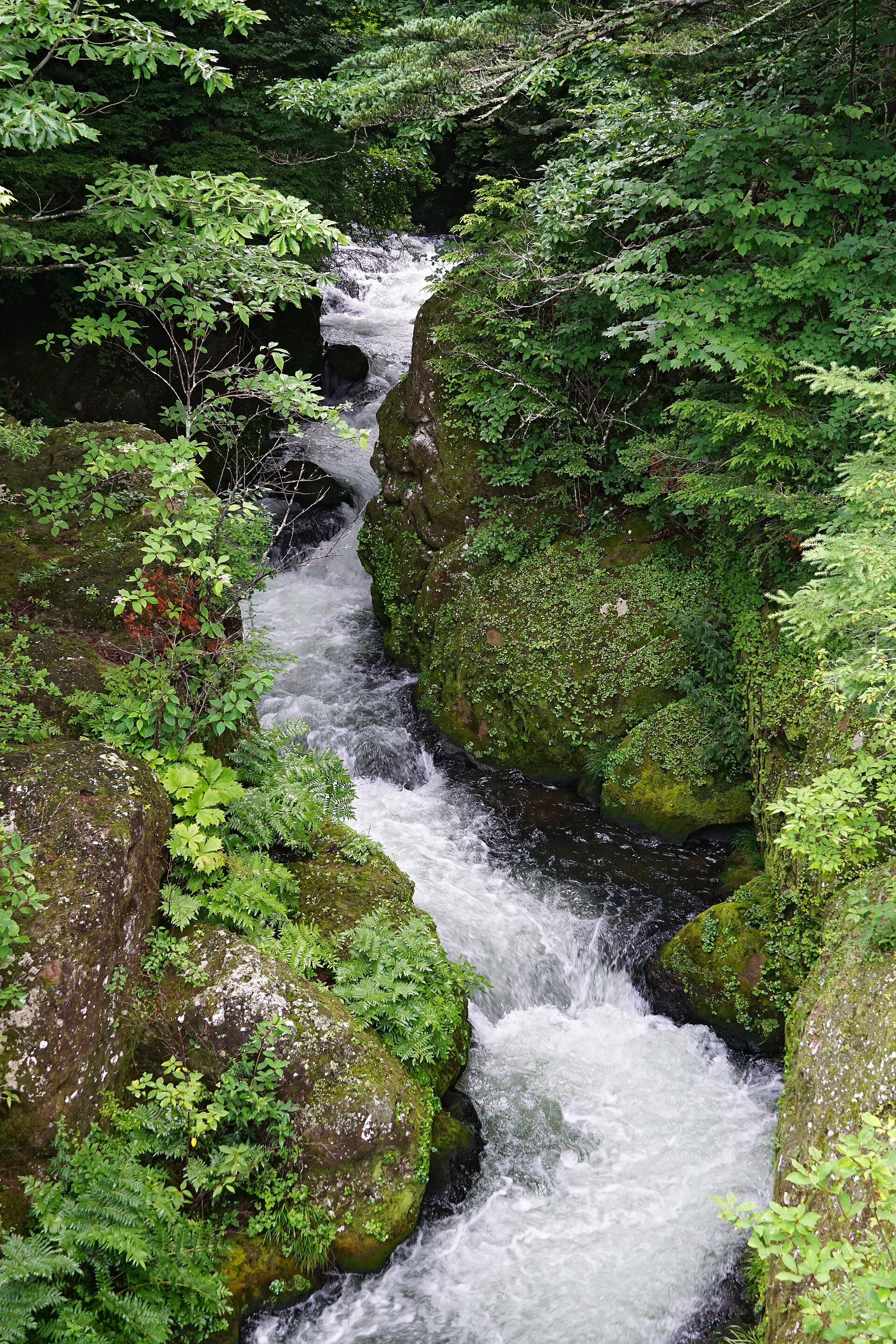 Ryuzu Falls, Tochigi