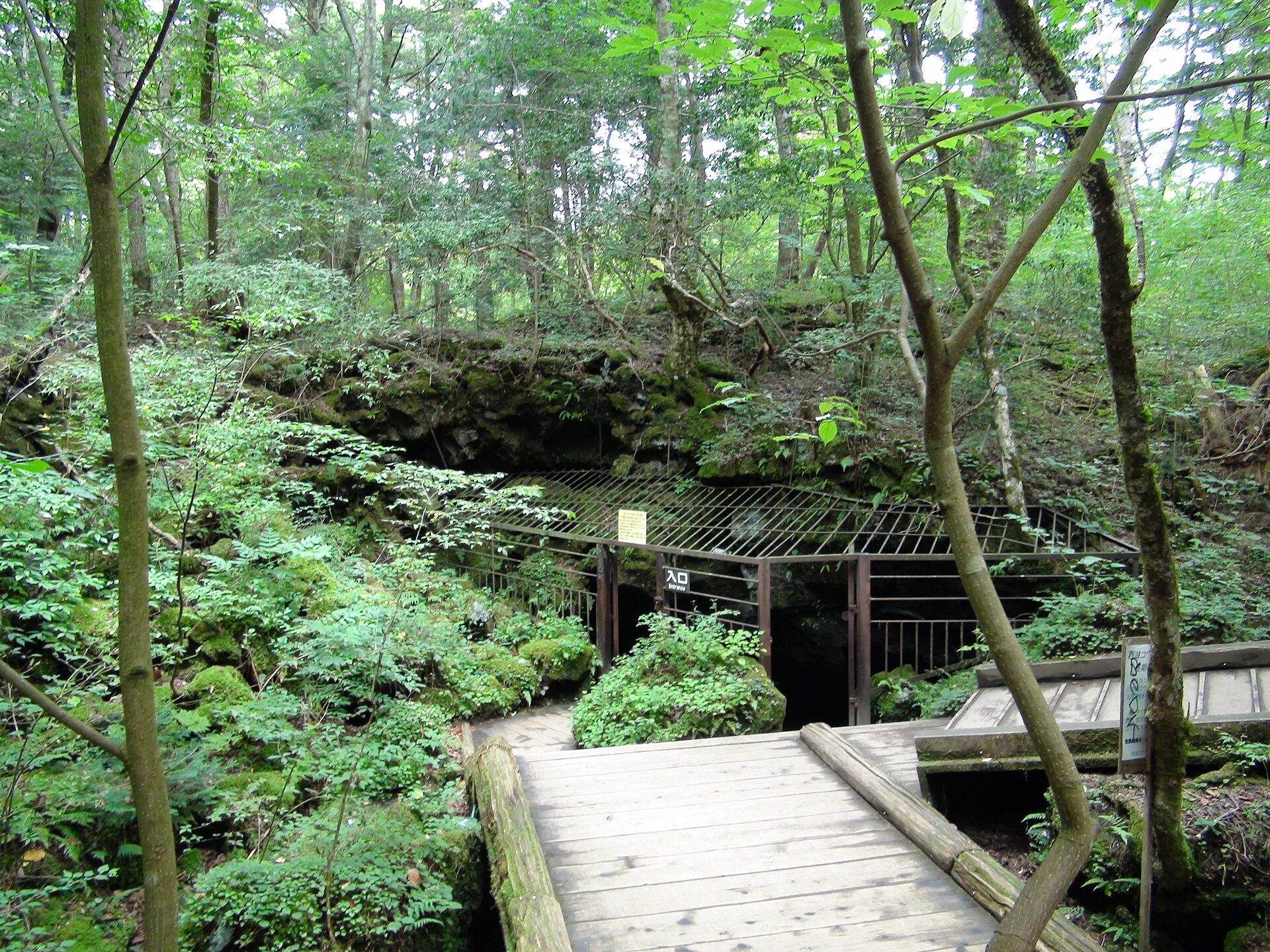 Lake Saiko Bat Cave, Yamanashi