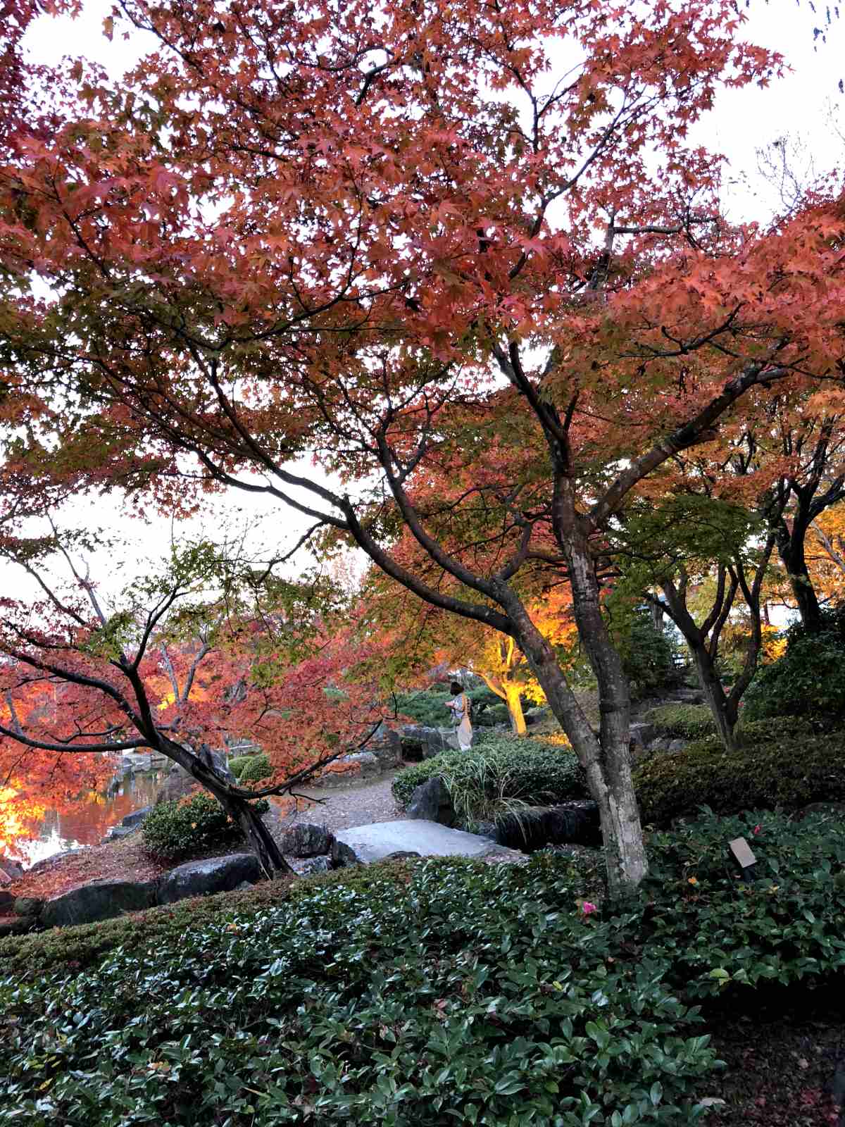 Sakurayama Park, Gunma