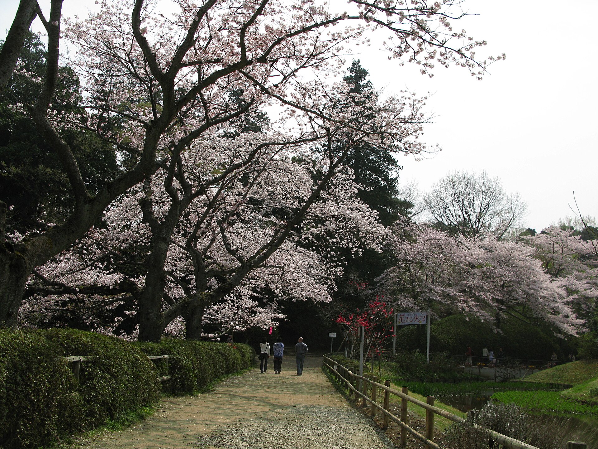 Shimizu Park, Noda, Chiba