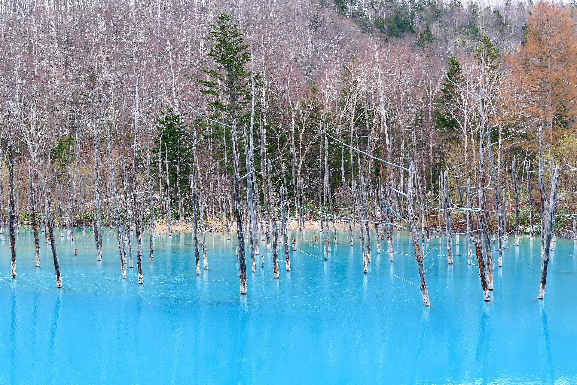 Shirogane Blue Pond, Biei, Hokkaido