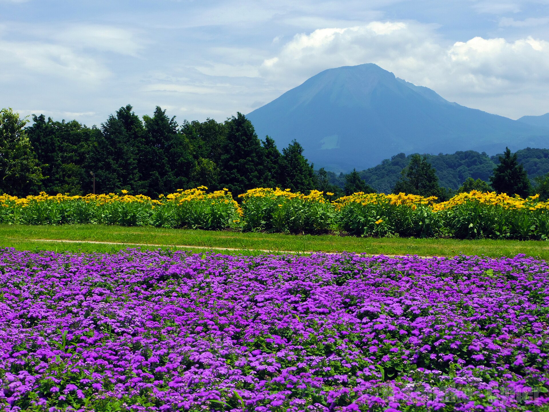 Tottori Hanakairo Flower Park, Tottori